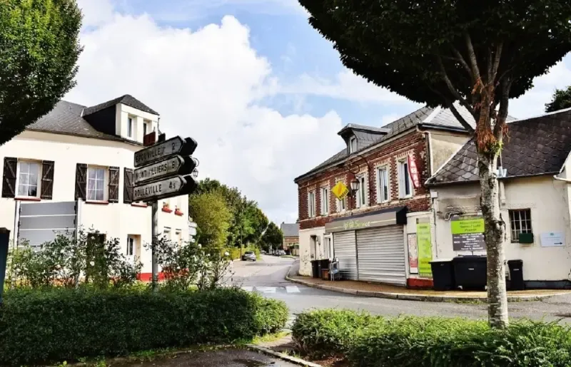 Société de livraison de repas à domicile pour personnes handicapées à Manéglise proche de Montivilliers